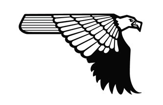 MRI Eagle Logo